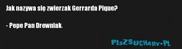 Jak nazywa się zwierzak Gerrarda Pique?

- Pepe Pan Drewniak.