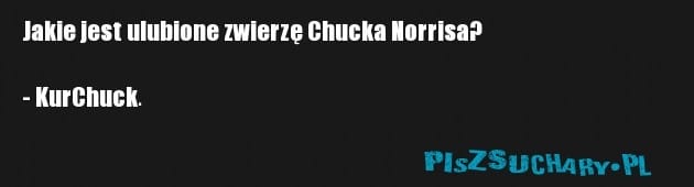 Jakie jest ulubione zwierzę Chucka Norrisa?

- KurChuck.