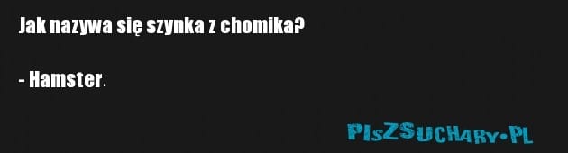 Jak nazywa się szynka z chomika?

- Hamster.
