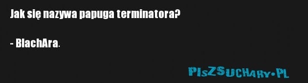Jak się nazywa papuga terminatora?

- BlachAra.