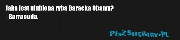 Jaka jest ulubiona ryba Baracka Obamy?
- Barracuda.