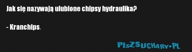 Jak się nazywają ulubione chipsy hydraulika?     

- Kranchips.