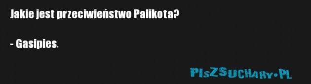 Jakie jest przeciwieństwo Palikota?

- Gasipies.